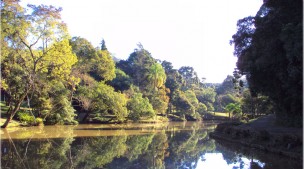 Parque Barreirinha- 9 km do centro de Curitiba