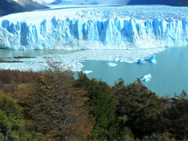 Perito Moreno - El Calafate / Argentina Foto Irma B. Kauffer