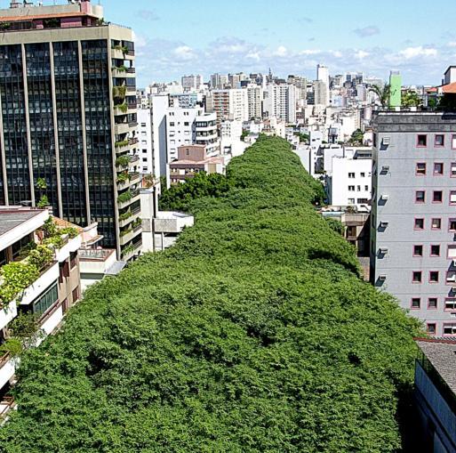 Porto Alegre é uma das cidades mais arborizadas